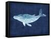 Hums of the Humpback-Edward Selkirk-Framed Stretched Canvas