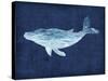Hums of the Humpback-Edward Selkirk-Stretched Canvas