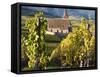 Hunawihr, Alsatian Wine Route, Alsace Region, Haut-Rhin, France-Walter Bibikow-Framed Stretched Canvas