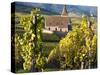 Hunawihr, Alsatian Wine Route, Alsace Region, Haut-Rhin, France-Walter Bibikow-Stretched Canvas