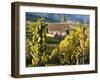 Hunawihr, Alsatian Wine Route, Alsace Region, Haut-Rhin, France-Walter Bibikow-Framed Photographic Print