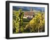 Hunawihr, Alsatian Wine Route, Alsace Region, Haut-Rhin, France-Walter Bibikow-Framed Photographic Print