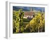 Hunawihr, Alsatian Wine Route, Alsace Region, Haut-Rhin, France-Walter Bibikow-Framed Photographic Print