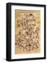 Hundred of Japanese Women-Jyakuchu Ito-Framed Giclee Print