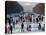 Hundreds Enjoy the Cold Weather on the Frozen Canal Near the Baroque Castle Nymphenburg in Munich-null-Stretched Canvas