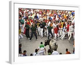 Hundreds Look at a Bull That Gored a Reveler During the Running of the Bulls at San Fermin Fiestas -null-Framed Photographic Print