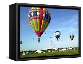 Hundreds of Balloon Fly Over the Early Morning Sky of Johnson Space Center Houston-null-Framed Stretched Canvas