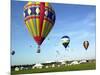 Hundreds of Balloon Fly Over the Early Morning Sky of Johnson Space Center Houston-null-Mounted Photographic Print