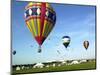 Hundreds of Balloon Fly Over the Early Morning Sky of Johnson Space Center Houston-null-Mounted Photographic Print