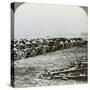 Hundreds of German Guns Captured at Couralette, France, Battle of Somme, World War I, 1916-null-Stretched Canvas