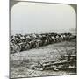 Hundreds of German Guns Captured at Couralette, France, Battle of Somme, World War I, 1916-null-Mounted Photographic Print