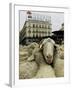 Hundreds of Sheep are Driven Along Sol Square During the Annual Parade Through Madrid-null-Framed Premium Photographic Print