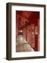 Hung Mieu Temple, Historic Hue Citadel, Imperial City, Hue, Vietnam-David Wall-Framed Photographic Print