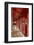 Hung Mieu Temple, Historic Hue Citadel, Imperial City, Hue, Vietnam-David Wall-Framed Photographic Print