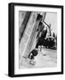 Black Frame