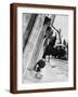 Brown Frame