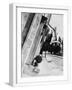 White Frame