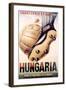 Hungaria Soccer Shoes-null-Framed Art Print