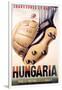 Hungaria Soccer Shoes-null-Framed Art Print