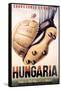 Hungaria Soccer Shoes-null-Framed Stretched Canvas