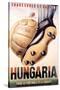 Hungaria Soccer Shoes-null-Stretched Canvas