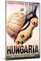 Hungaria Soccer Shoes-null-Mounted Art Print