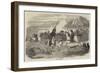 Hungarian Artillery-null-Framed Giclee Print