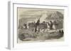 Hungarian Artillery-null-Framed Giclee Print