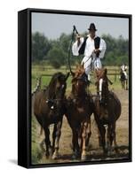 Hungarian Cowboy Horse Show, Bugaci Town, Kiskunsagi National Park, Hungary-Christian Kober-Framed Stretched Canvas