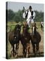 Hungarian Cowboy Horse Show, Bugaci Town, Kiskunsagi National Park, Hungary-Christian Kober-Stretched Canvas
