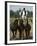 Hungarian Cowboy Horse Show, Bugaci Town, Kiskunsagi National Park, Hungary-Christian Kober-Framed Photographic Print