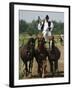 Hungarian Cowboy Horse Show, Bugaci Town, Kiskunsagi National Park, Hungary-Christian Kober-Framed Photographic Print