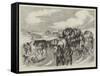 Hungarian Gipsies on the Tramp-null-Framed Stretched Canvas