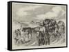 Hungarian Gipsies on the Tramp-null-Framed Stretched Canvas