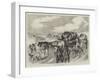 Hungarian Gipsies on the Tramp-null-Framed Giclee Print