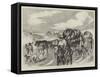 Hungarian Gipsies on the Tramp-null-Framed Stretched Canvas