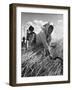 Hungarian Harvest-null-Framed Photographic Print
