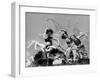 Hungarian Hoop Dancers-null-Framed Photographic Print