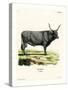 Hungarian Steppe Cattle-null-Stretched Canvas