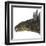 Hungarosaurus Dinosaur Head-Stocktrek Images-Framed Art Print