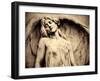 Hungary, Budapest, Kerepesi Cemetery-Michele Falzone-Framed Photographic Print