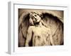 Hungary, Budapest, Kerepesi Cemetery-Michele Falzone-Framed Photographic Print