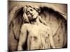 Hungary, Budapest, Kerepesi Cemetery-Michele Falzone-Mounted Photographic Print