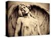 Hungary, Budapest, Kerepesi Cemetery-Michele Falzone-Stretched Canvas