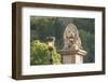 Hungary, Budapest. Lion sculpture on the Szechenyi Chain Bridge.-Tom Haseltine-Framed Photographic Print