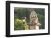 Hungary, Budapest. Lion sculpture on the Szechenyi Chain Bridge.-Tom Haseltine-Framed Photographic Print