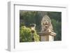 Hungary, Budapest. Lion sculpture on the Szechenyi Chain Bridge.-Tom Haseltine-Framed Photographic Print