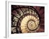 Hungary, Budapest, St; Stephen Cathedral (Szent Istvan Bazilika), Staircase to Dome-Michele Falzone-Framed Photographic Print