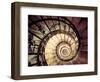 Hungary, Budapest, St; Stephen Cathedral (Szent Istvan Bazilika), Staircase to Dome-Michele Falzone-Framed Photographic Print