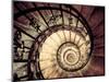 Hungary, Budapest, St; Stephen Cathedral (Szent Istvan Bazilika), Staircase to Dome-Michele Falzone-Mounted Photographic Print